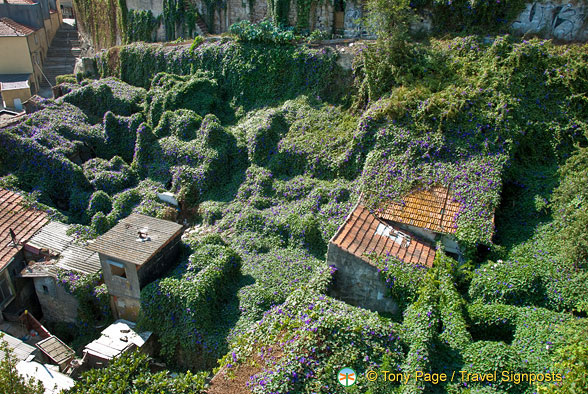 Oporto (739 visits) Oporto